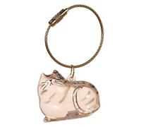 Porte-clés transparent en forme de poils de chat - Bouteille de rangement en forme de capsule - Souvenir en fourrure d'animal domestique - Cadeau souvenir pour poils de chat et de chien (chaton rayé