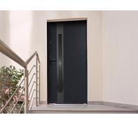 Porte d'entrée en acier pleine et inox H207 x L100 cm - verre fumé - noir et anthracite - poussant droit - BRAGA
