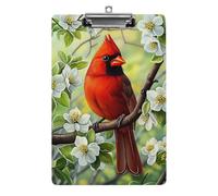 Porte-documents A4 en acrylique avec oiseau cardinal rouge