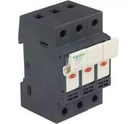 Schneider Electric Porte-fusible TeSys DF103 3P 32A pour fusible 10x38 mm