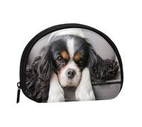 Porte-Monnaie, Porte-Monnaie, Pochette à Monnaie, Mini Portefeuilles pour Femmes et Filles, Cadeau, Chien Cavalier King Charles Spaniel