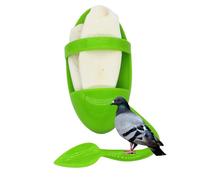 Porte-Os - Métal ABS | Porte-os De Seiche | Accessoire D’Oiseau Squelette