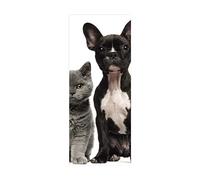 Porte Papier peint 3D chat animal L83 x H204cm Porte Stickers Auto-adhésif pour porte intérieure bureau chambre à coucher salon salle de bain