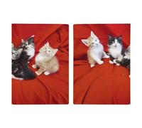 Porte-passeport en forme de chat ultra fin en cuir synthétique pour documents de voyage compact de qualité supérieure pour passeport international américain pour homme et femme