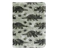 Porte-passeport Jurassic Dinosaure Fossile Étui portefeuille de voyage en cuir pour cartes 11,5 x 16,5 cm, multicolore, 11.5x16.5cm/4.5x6.5 in, Vintage