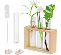 Porte Plante Mural En Verre De Tube À Essai-4 Tubes À Fleurs (1 De Rechange) Avec Support En Bois-Vase Suspendu Moderne Pour Plantes,Maison,Culture,Hydroponie Et Décoration