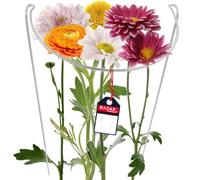 Porte-plantes KADAX en acier, support de plantes vivaces, vrille,...