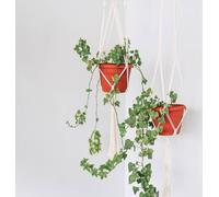 Porte-plantes mural Rebecca Mobili Sarracenia 100x25x25 Polycotton Beige Boho