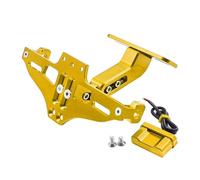 Porte Plaque Moto Accessoires pour Yamaha FZ1N FZ1S FZ1 2006-2015 Support De Plaque D'immatriculation Arrière Moto Kit De Suppression Garde-Boue Arrière(Or)