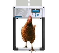 Porte poulailler Automatique 'ChickenGuard All-in-One'. Écran LCD programmable, Mode Hiver Puissant, Capteur de Lumière/Minuterie, Arrêt de Sécurité, Porte/Trappe en Aluminium (Gris + Piles)