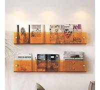Porte-revues mural en acrylique, support de brochure réglable pour disques vinyles, journaux, bandes dessinées et dossiers, bibliothèque transparente à suspendre pour bureau et salle de bain