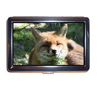 Portefeuille ou étui à cigarettes, mammifère renard animal, étui de carte de visite Protection Credit