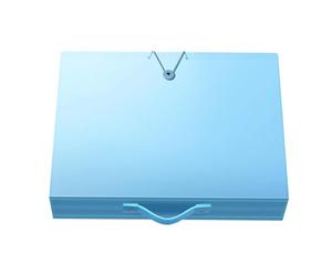 Portfolios Folder | 60 Pockets Heavy Duty Portable Organizer | Transparent Pocket Organizer Folder for Paintings Posters Office Classroom Home Bedroom Desk