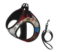 Porto Rico Ensemble harnais et laisse pour chien avec motif drapeau imprimé papier peint - Gilet réfléchissant et réglable pour chiens de petite, moyenne et grande taille