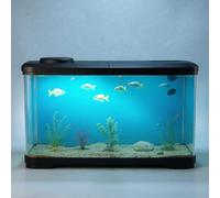 PortoAlegre Aquarium complet de 15 l, rectangulaire, avec couvercle LED, décoration acrylique, pour poissons et plantes aquatiques