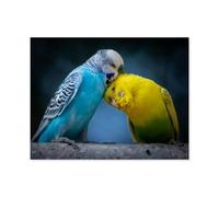 Portrait d’Une Perruche ondulée Bleue et d’Une Perruche ondulée Jaune-Verte sur Une Branche，Puzzle 1000 Pièces Puzzle pour Adultes, Puzzles Classiques Puzzle en Bois 1000 Pièces-E88