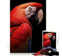 Portrait d'ara Rouge pour Adultes, Puzzle de 1000 pièces, Jeu de réflexion, Joie familiale, découpe de précision, Joli Cadeau (38x26cm)