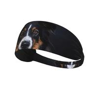 Portrait de Border Collie,Bandeau de Sport Unisexe, Bandeau élastique Multi-usages pour Cheveux