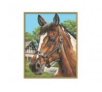 Portrait de cheval 24 x 30 cm - Peinture par numéros