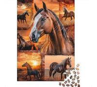 Portrait de Cheval Puzzle 1000 Pièces Papier pour Adultes Scène de Champ au Coucher du Soleil Jeu de Puzzle 1000 Pièces Détente Maison Cadeau 52x38cm/1000pcs