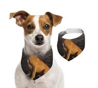 Portrait de Chien Boxer Brun de Plage,Bandanas pour Chien, écharpe en Coton, Bavoirs réglables pour Animaux de Compagnie,L