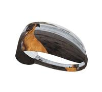 Portrait de Chien Boxer Brun de Plage,Bandeau de Sport Unisexe, Bandeau élastique Multi-usages pour Cheveux