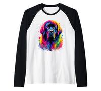 Portrait De Chien Coloré De Terre-Neuve Manche Raglan