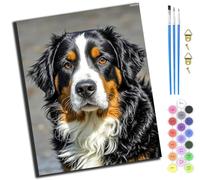 Portrait de chien de compagnie Bouvier bernois suisse,Peinture par Numéro Adulte,Peinture Numero Débutants,Kit de Peinture Comprend des Peintures Acryliques et des Pinceaux (40 x 50 cm),Sans cadre