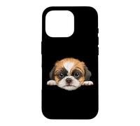 Portrait de Chien en Gros Plan Baby Shih Tzu Coque pour iPhone 16 Pro