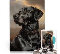 Portrait de Labrador Noir Puzzle de 1000 pièces pour Adultes Jouets à Faire soi-même Car C'est Un pour Toute la Famille 38x26cm