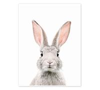 Portrait de lapin Poster de Sisi And Seb 13 x 18 cm Tableaux Décoration murale