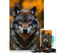 Portrait de Loup dans Une forêt d'automne Puzzle de 1000 pièces pour Adultes Jeu Stimulant l'esprit Surface Lisse sans bavures Passe-Temps Fascinant pour Les Moments de détente (38x52cm)