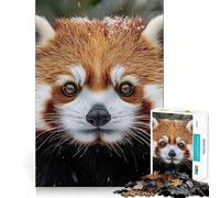Portrait de Panda Roux dans la Neige hivernale Puzzle de 1000 pièces pour Adultes Jeu de réflexion Intelligent Activité à la Maison Découpe Lisse Surprise de Noël (50x75cm)