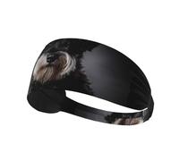 Portrait de Schnauzer Gris foncé,Bandeau de Sport Unisexe, Bandeau élastique Multi-usages pour Cheveux