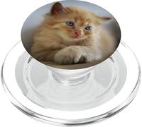 Portrait de Visage de Chat Mignon Chaton PopSockets PopGrip pour MagSafe