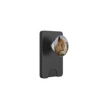 Portrait de Visage de Chat Mignon Chaton PopSockets PopWallet pour MagSafe