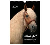 Portrait des races de chevaux StudioArt, Version française (Calendrier mural 2026 DIN A4 portrait), Calendrier CALVENDO mensuel