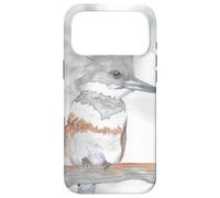 Portrait d'oiseau Aquarelle Kingfisher Coque pour iPhone 17 Pro Max
