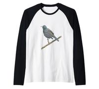 Portrait d'oiseau Aquarelle New World Blackbirds Manche Raglan