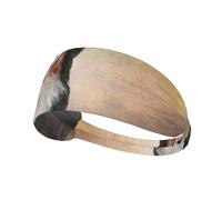Portrait drôle de Bouvier Bernois,Bandeau de Sport Unisexe, Bandeau élastique Multi-usages pour Cheveux