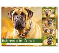 Portrait du Bullmastiff. Des chiens puissants au caractère doux, Version française (Calendrier mural 2026 DIN A3 portrait), Calendrier CALVENDO mensuel