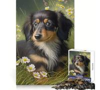 Portrait d'un Adorable Chiot Puzzle de 1000 pièces pour Adultes Stimule la mémoire Passe-Temps à la Maison Décoration Murale (50x75cm)