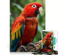 Portrait d'un Ara Rouge sous la Pluie Puzzle de 1000 pièces pour Adolescents Améliore la mémoire Loisirs faciles Découpe Ferme Décoration Murale (38x52cm)