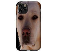 Portrait d'un Chien doré-Labrador Art vectoriel Coque pour iPhone 11 Pro