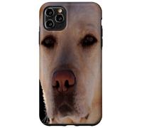 Portrait d'un Chien doré-Labrador Art vectoriel Coque pour iPhone 11 Pro Max