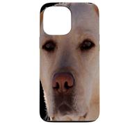 Portrait d'un Chien doré-Labrador Art vectoriel Coque pour iPhone 13 Pro Max