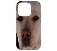 Portrait d'un Chien doré-Labrador Art vectoriel Coque pour iPhone 14 Pro