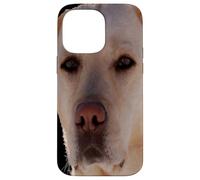 Portrait d'un Chien doré-Labrador Art vectoriel Coque pour iPhone 14 Pro Max