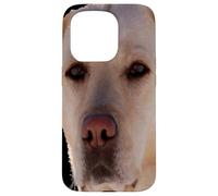 Portrait d'un Chien doré-Labrador Art vectoriel Coque pour iPhone 15 Pro