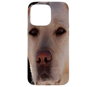 Portrait d'un Chien doré-Labrador Art vectoriel Coque pour iPhone 15 Pro Max